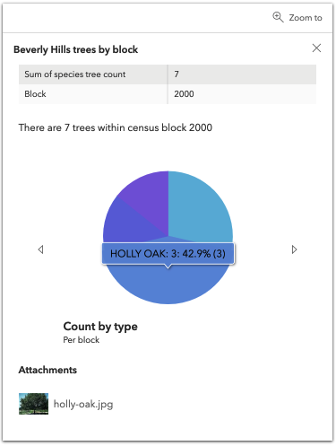 popuptemplate-attachments-element