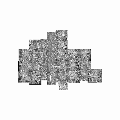 Export Image