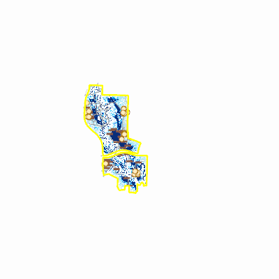 Export Image