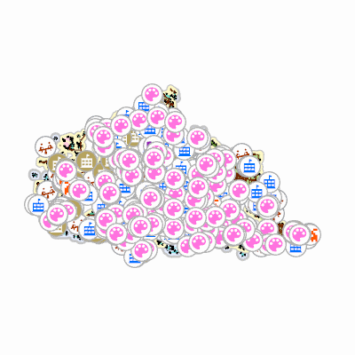Export Image